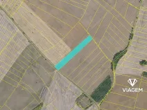 Prodej pole, Veliká Ves, 8750 m2