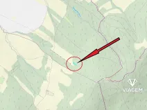 Prodej lesa, Vlachovice, 659 m2