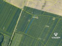 Prodej podílu pole, Lomnice nad Lužnicí, 503 m2