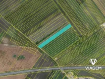 Prodej podílu pole, Hrušky, 1415 m2