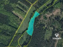 Prodej podílu pole, Morašice, 3959 m2