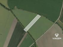 Prodej pole, Nezdenice, 13334 m2