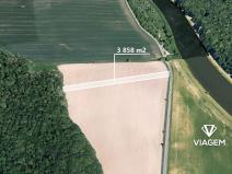 Prodej podílu lesa, Bělov, 964 m2