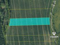 Prodej podílu pole, Dolní Hořice, 1517 m2