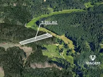 Prodej podílu lesa, Baliny, 3334 m2