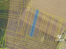 Prodej podílu lesa, Sebranice, 2296 m2