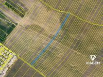 Prodej podílu pole, Kuchařovice, 898 m2