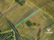 Prodej podílu pole, Kuchařovice, 1267 m2