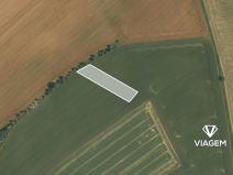 Prodej lesa, Bernartice nad Odrou, 2271 m2