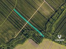 Prodej podílu pole, Mistřice, 1500 m2