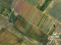 Prodej podílu pole, Kuchařovice, 2403 m2