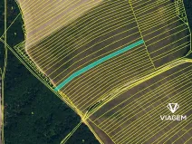 Prodej podílu pole, Kuchařovice, 2086 m2