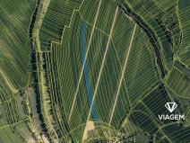 Prodej podílu pole, Zdounky, 1183 m2