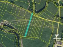 Prodej pole, Kostelec nad Orlicí, 1632 m2