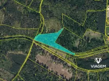 Prodej podílu lesa, Dašice, 3483 m2