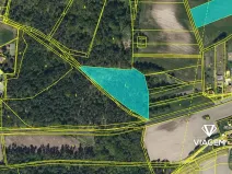 Prodej podílu lesa, Dašice, 5360 m2