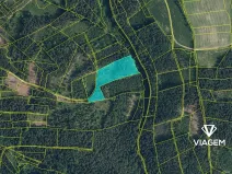 Prodej podílu lesa, Železný Brod, 27889 m2