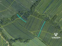 Prodej podílu pole, Mistřice, 3801 m2