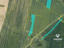 Prodej podílu pole, Tučapy, 4844 m2