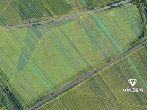 Prodej podílu pole, Rohatec, 1486 m2