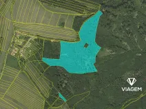 Prodej podílu lesa, Městečko Trnávka, 3310 m2