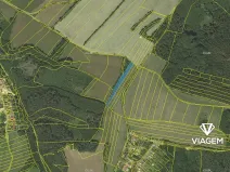 Prodej podílu pole, Městečko Trnávka, 936 m2