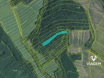 Prodej lesa, Moravské Bránice, 4068 m2