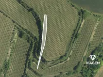 Prodej podílu pole, Uherčice, 206 m2