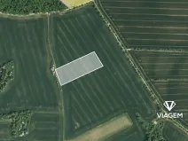 Prodej podílu pole, Zborovice, 1819 m2