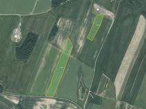 Prodej pole, Nové Lublice, 54957 m2