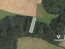 Prodej podílu lesa, Bílá, 1141 m2