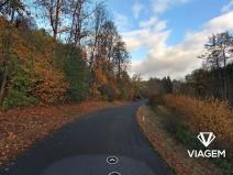 Prodej podílu lesa, Stružinec, 1339 m2