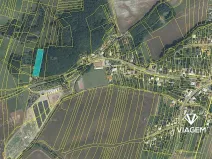 Prodej lesa, Slavkov pod Hostýnem, 3136 m2