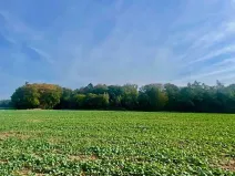 Prodej pole, Praha - Liboc, Na Padesátníku I, 24066 m2