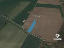 Prodej podílu pole, Čáslav, 779 m2