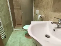 Pronájem bytu 1+1, Ostrava, Daliborova, 41 m2