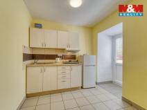 Pronájem bytu 1+1, Sytno, 49 m2