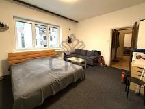 Pronájem bytu 1+1, Brno - Staré Brno, Nové sady, 48 m2