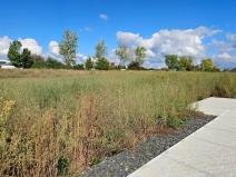 Prodej pozemku pro bydlení, Most, U Mariany, 889 m2