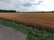 Prodej pozemku pro bydlení, Ostrava, 980 m2