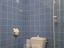 Pronájem bytu 1+kk, Praha - Podolí, U Kublova, 25 m2