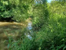 Dražba pozemku, Česká Lípa, 5369 m2