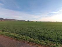 Prodej pole, Třebenice, 4348 m2