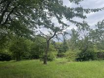 Pronájem sadu/vinice, Praha - Točná, Ke starému hřišti, 3842 m2