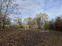 Prodej zahrady, Židlochovice, 1185 m2