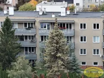 Prodej bytu 4+1, Olomouc, Zamykalova, 92 m2