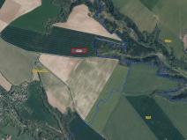 Prodej pole, Stránka, 7066 m2