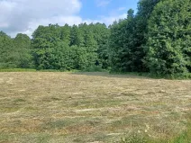 Dražba lesa, Česká Kamenice, 14221 m2