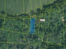 Dražba lesa, Milavče, 441 m2