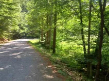 Dražba pozemku, Jestřebí, 13769 m2